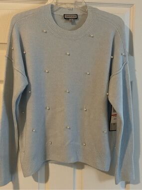 Sam and Jess Light Blue Crewneck Sweater with Pearls